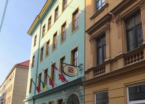 Hotel Viki 1