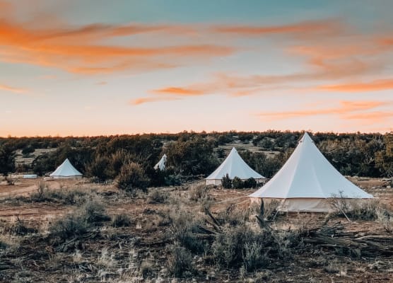 Wander Camp Grand Canyon 1
