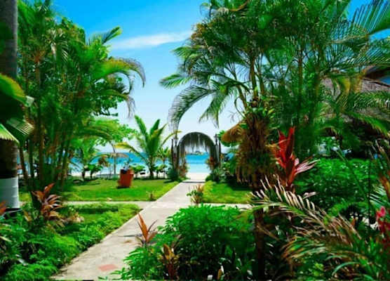 Ayurveda Resort Negril Jamaica 1