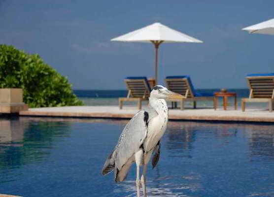 OBLU NATURE Helengeli-All-Inclusive with free Transfers 1