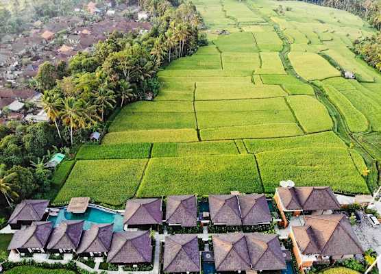 Kayangan Villa Ubud 1
