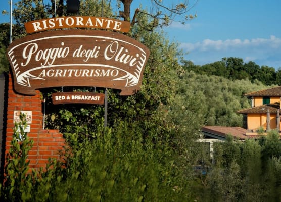 Poggio Degli Olivi 1