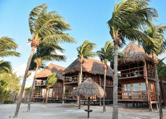 Blue Holbox 1