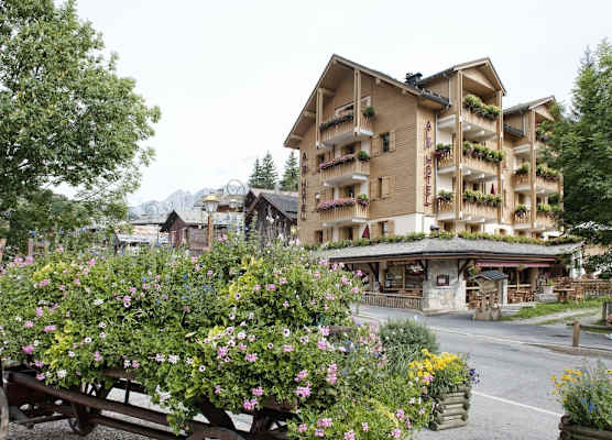 Alp'Hotel 1