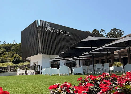 Harpazul 1