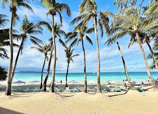 Calypso Beach and Dive Resort 1