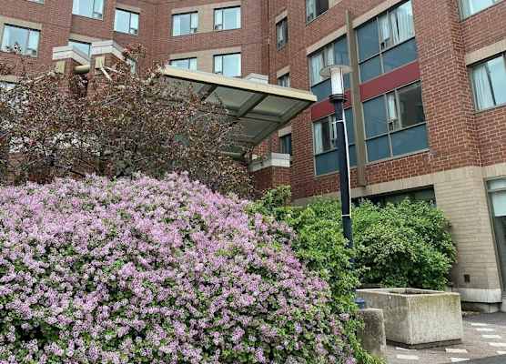 University of Ottawa Residence 1