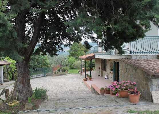 Bed & Breakfast Villa Flora 1