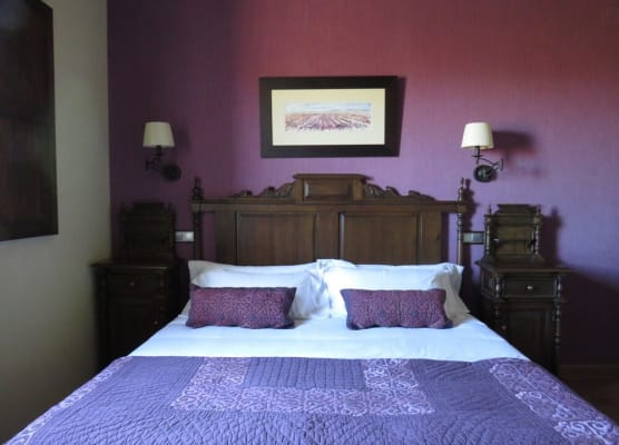 Hotel Enoturismo Mainetes 1