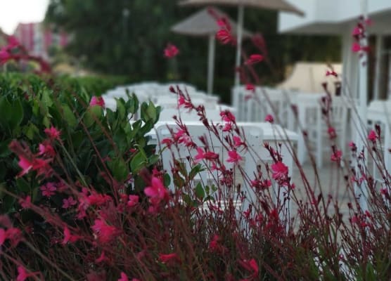 Cicek Apart Hotel 1