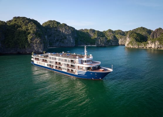 Erina Cruise 1
