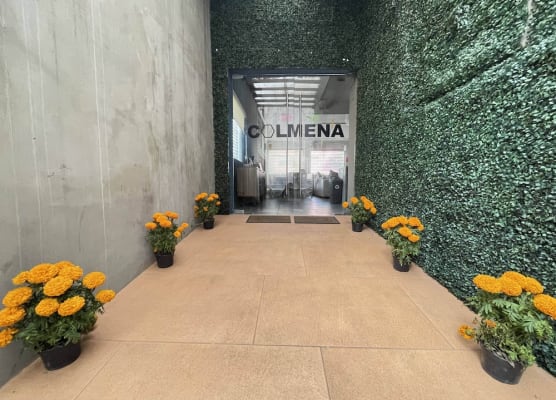 Colmena Hotel CDMX Tonala 1
