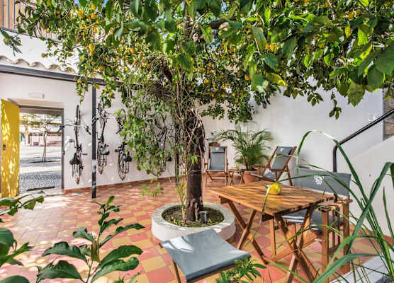 Lemon Tree Stay 1