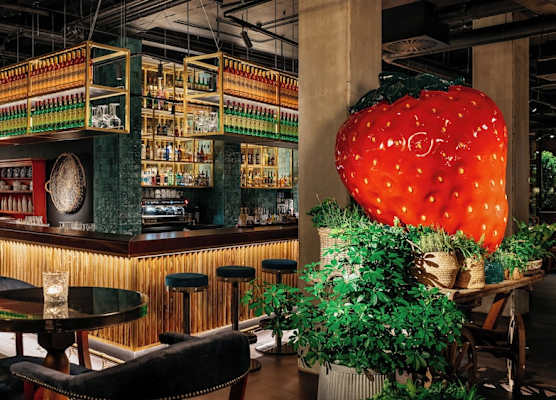 Ruby Molly Hotel Dublin by IHG 1