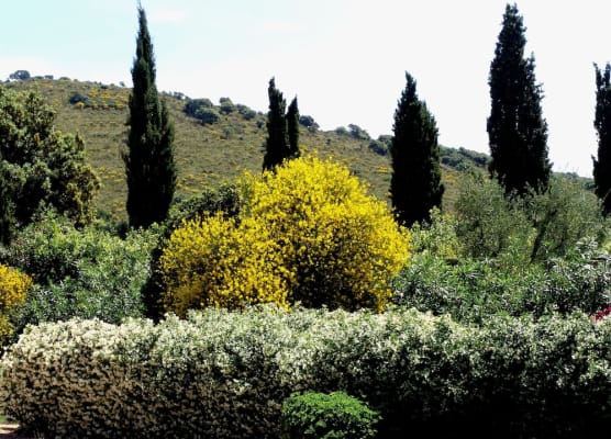 Agriturismo Fattoria Il Casalone 1
