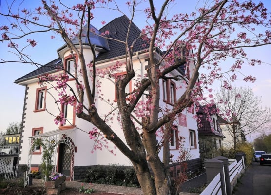 Villa Kopp-Das Gästehaus 1