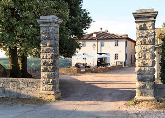 Laqua Vineyard 1