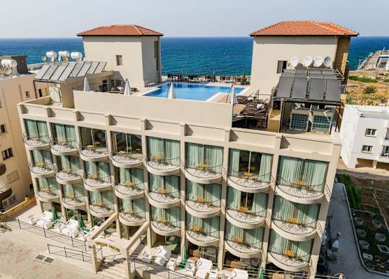 Olivia Palm Hotel 1