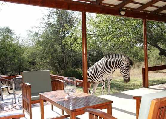 Turaco Lodge - No Loadshedding 1