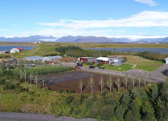 Dilksnes Guesthouse 1