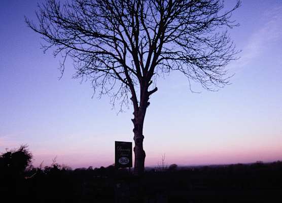 Bunratty Haven Bed & Breakfast 1