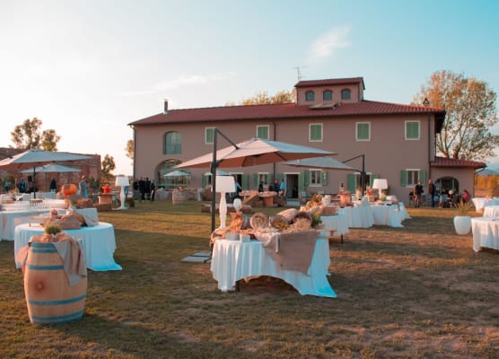 Fattoria L'Olmetto 1