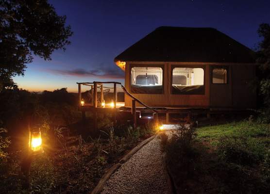 Addo Elephant Safari Lodge - Bellevue Forest Reserve 1
