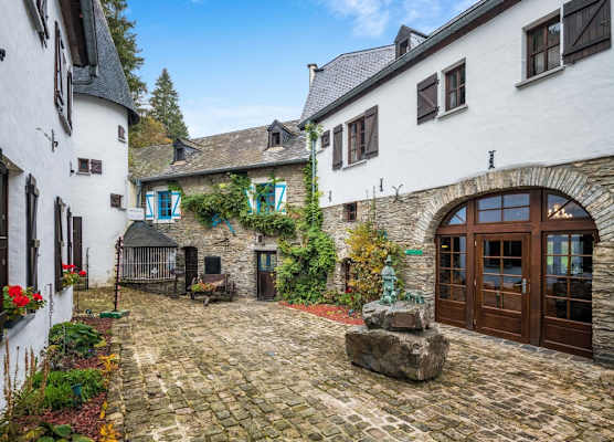 Domaine du Moulin d'Asselborn 1