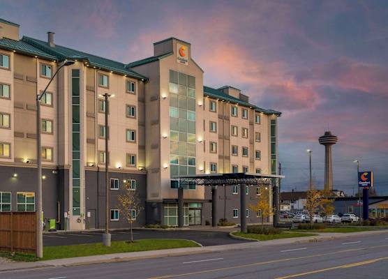 Comfort Hotel 1