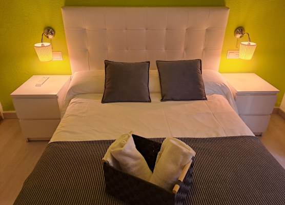 Nest Flats Plaza del Carmen 1