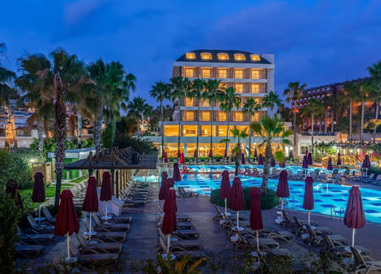 Trendy Palm Beach Adults Only 1