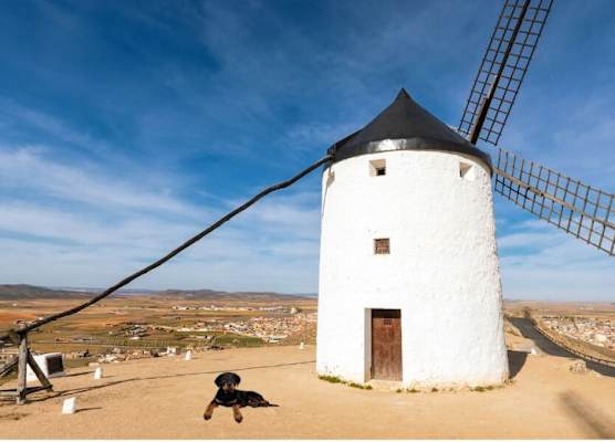 Apartamentos Consuegra 1
