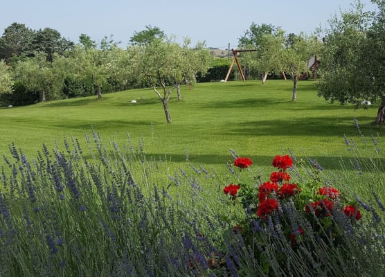 Agriturismo Il Migliarino 1