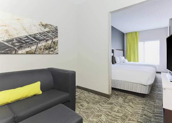 SpringHill Suites by Marriott Austin Parmer/Tech Ridge 1