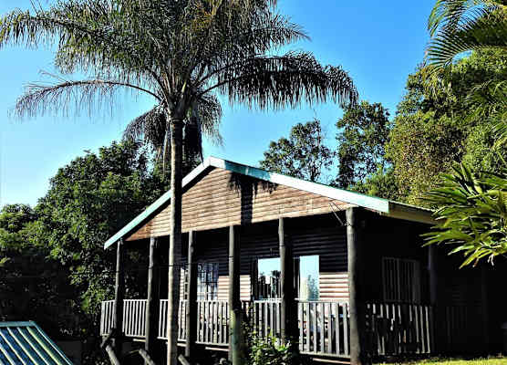 Impala Niezel Lodge & Guest House 1