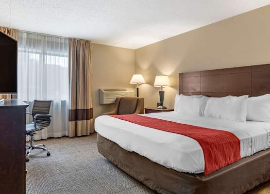 Comfort Inn Lansing West 1