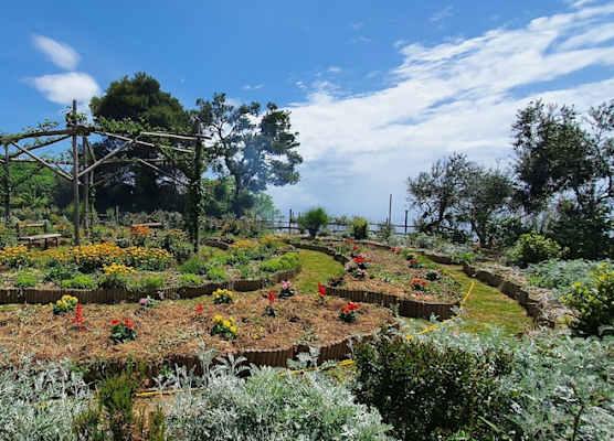 Agriturismo Fattoria Terranova 1