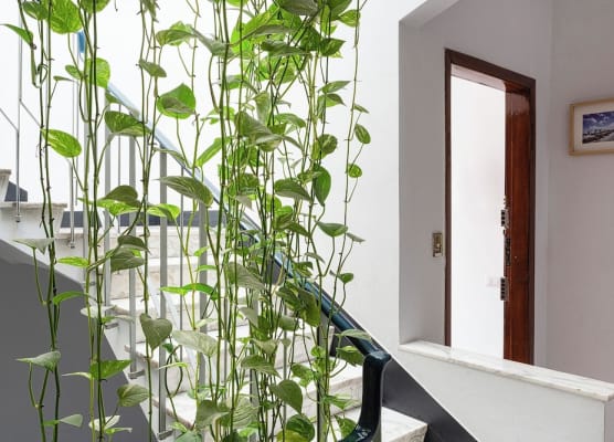 Contemporary apartment in Sturla by Wonderful Italy 1