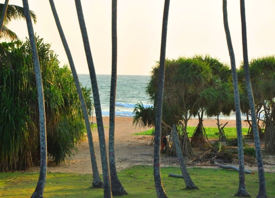 Ocean View 1