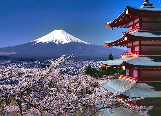 HOTEL MYSTAYS Fuji Onsen Resort 1