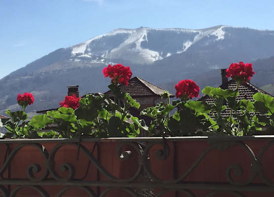 Hotel Villa San Fedele 1
