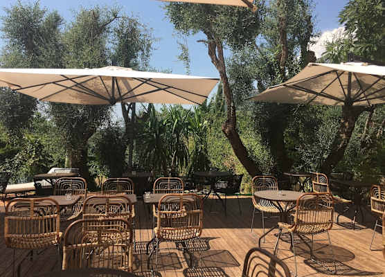 Hôtel Avocado 1