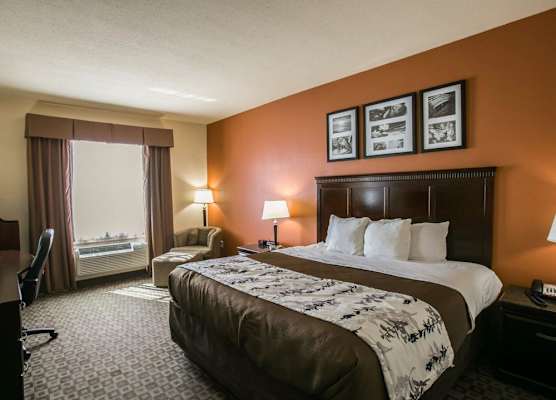 Sleep Inn & Suites Hwy 290-NW Freeway 1