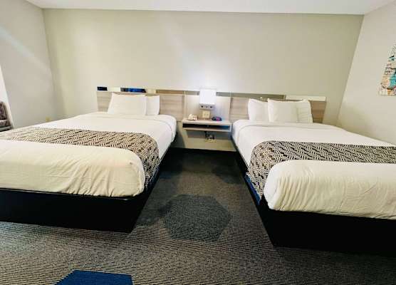Microtel Inn Georgetown - Lexington North 1