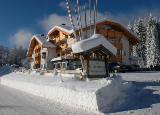 Wellness Hotel Lupo Bianco 1