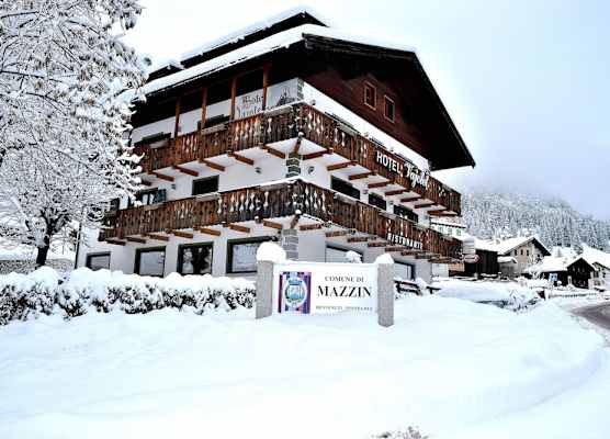 Hotel Vajolet 1