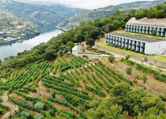 Douro Palace Hotel Resort & SPA 1