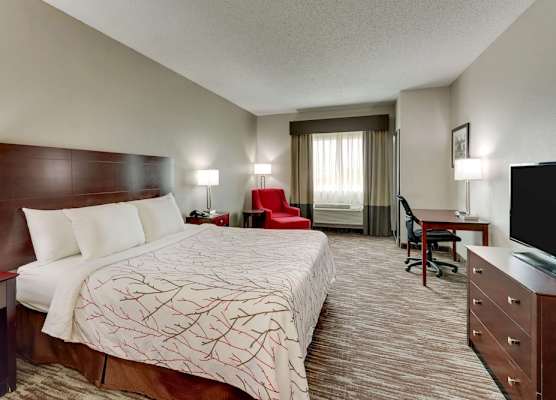 Best Western Plus University Inn & Suites 1