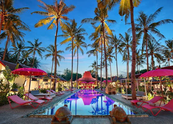 PinkCoco Gili Air - Constant Surprises & for Cool Adults Only 1