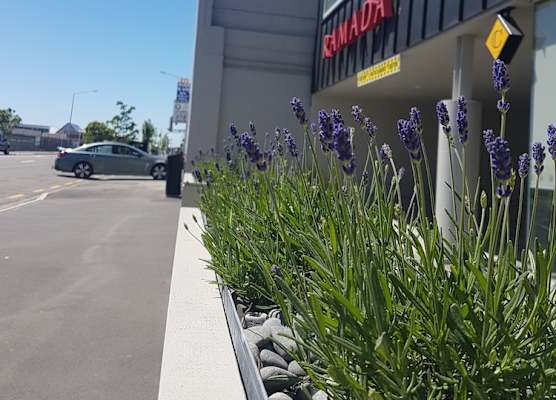 Ramada Suites by Wyndham Christchurch City 1